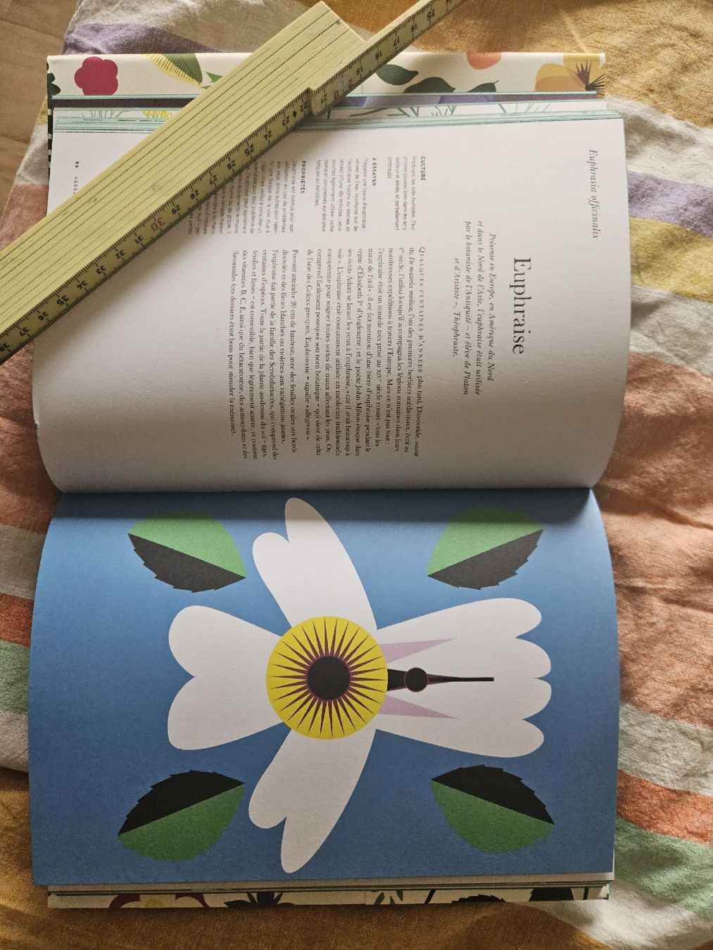 Libri: Herbarium Marabout  – Nuovo e nell'imballaggio originale da Thônex venduto da lacomtessedesfees 3