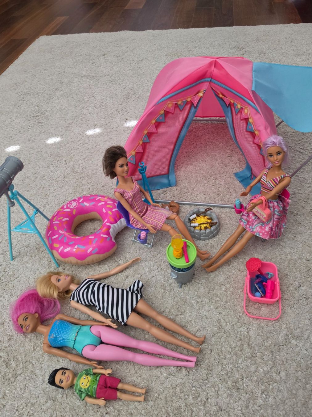 Bambole: Barbie Camping+ diverses – Usato da Richterswil venduto da fairy