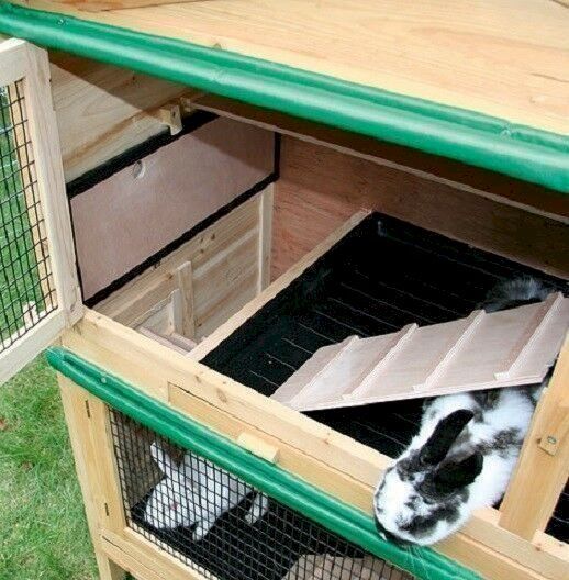 Cages, transport & sécurité: Kerbl Nagerstall Appartement 82800 – Neuf avec emballage d'origine à Bottighofen par zaap 5