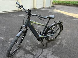 Neues E-Bike Flyer G2 Gt 7.23 Ch D/M Blu