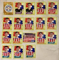 Panini WM 2026!!! Panama!!! 18 verschiedene Stickers!!!