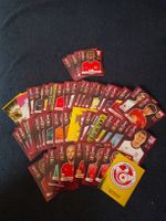 Panini WM 2022 Qatar Sticker Konvolut 