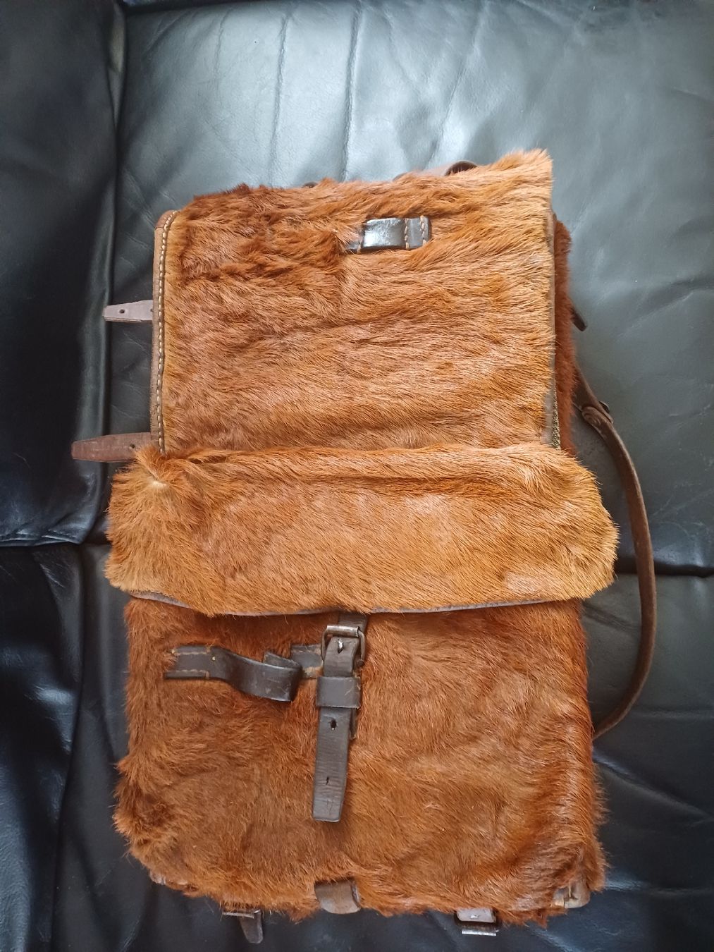 Schweizer Armee Zaini: Vintage Fell Rucksack Schweizer Armee – Usato da Ebersecken venduto da Napf08