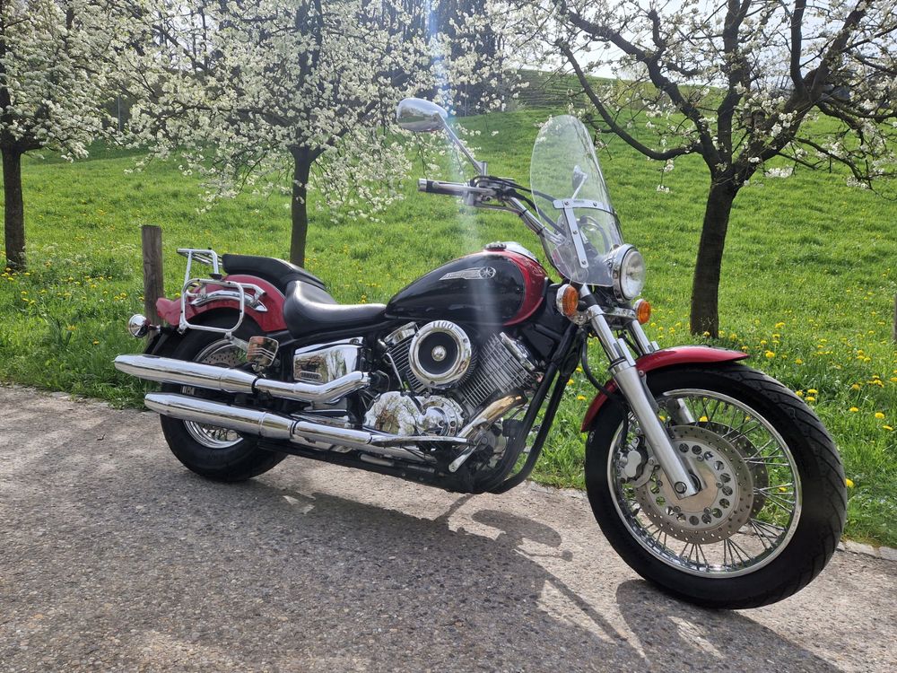 Xvs 1100 Schwchen