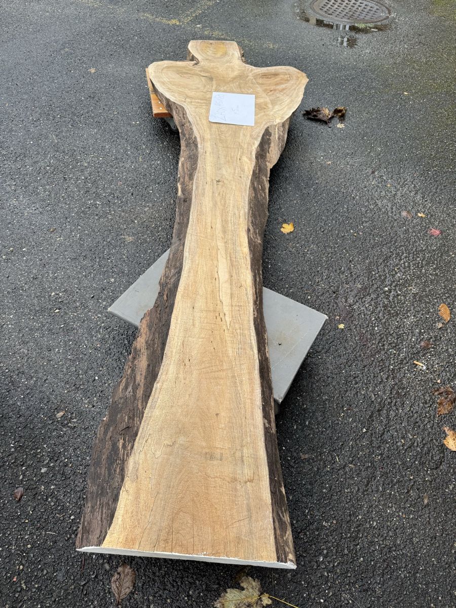 Articoli in legno: Nussbaum Klotzbrett 270  cm lang! – Usato da Gränichen venduto da onkel_xxl 5
