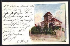 Frauenfeld, Schloss Frauenfeld, 1898