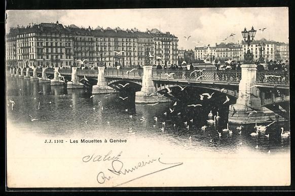 Cartoline postali: AK Genève, Les Mouettes, 1902 – Usato da Berlin venduto da bartko-reher