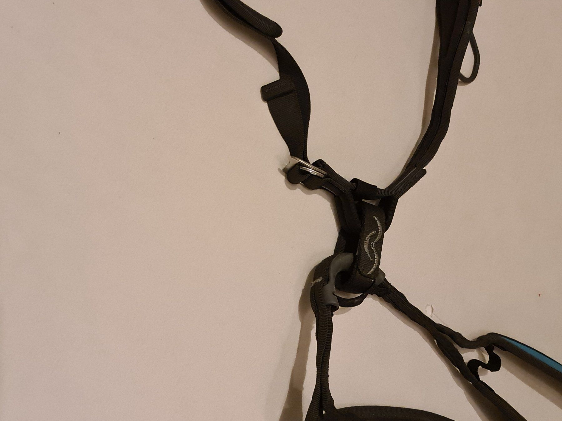 Mammut Attrezzatura da arrampicata: Klettergurt MAMMUT – Usato da Thun venduto da erh_fs86 8