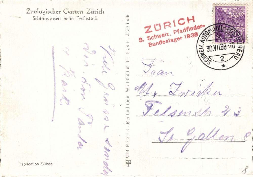 Zoologischer Garten Zürich, Schimpansen beim Frühstück Kaufen auf Ricardo