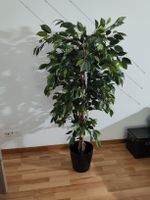Künstlicher Baum Ficus Benghalensis grosser Zustand.