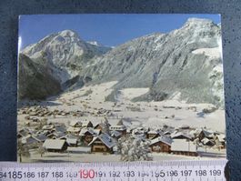 LUNGERN SCHNEE ONW AK BUG