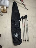 Audi Skisack