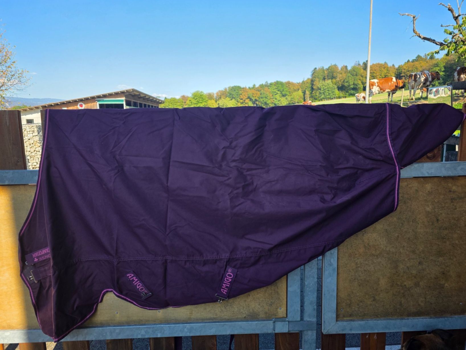 Amigo Decken & Deckenzubehör: Pferdedecke Horseware Amigo 140cm – Gebraucht aus Mörigen von Martina777 1