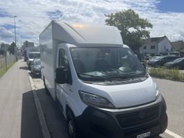 Fiat Ducato 2.3 Multijet Kühlwagen 2019
