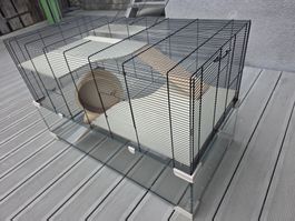 Cage pour rongeurs et accessoires