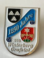 1 Pin Winterberg Grafstal 1250 Jahre