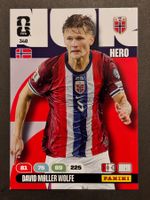 Panini FIFA World Cup 2026 David Moller Wolfe 340