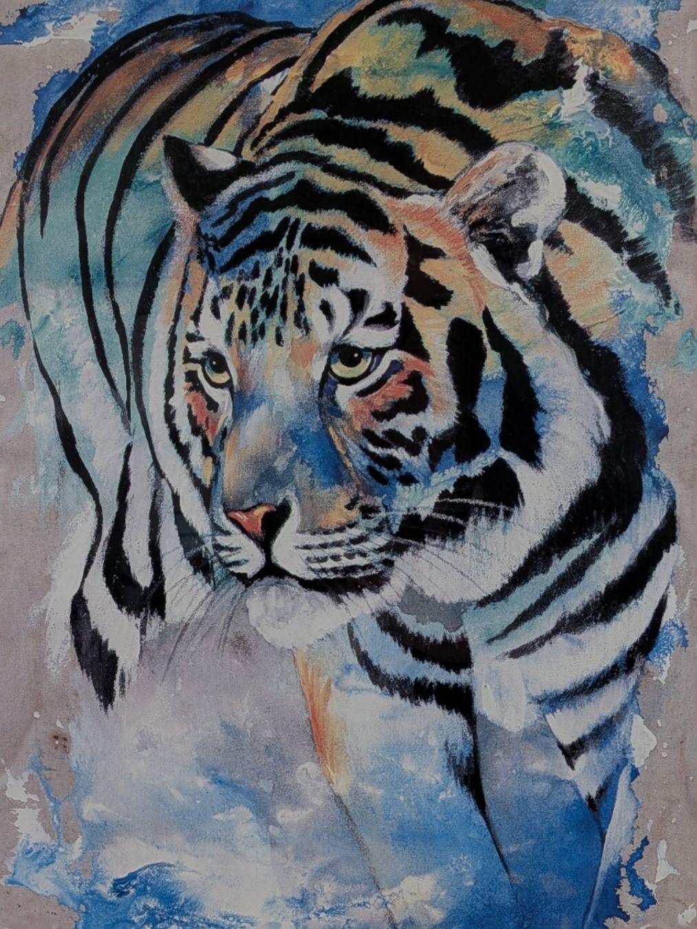 Poster & Bilder: Kunstdruck Tiger von Rolf Knie – Gebraucht aus Suhr von Restwert_Suhr 1