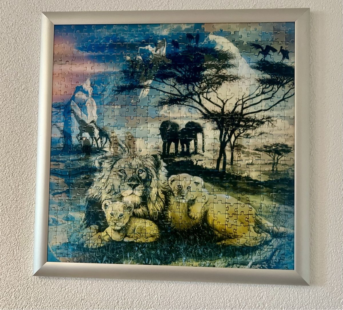 Foto & Immagini: Bild Puzzle 3 D – Usato da Dübendorf venduto da senero44