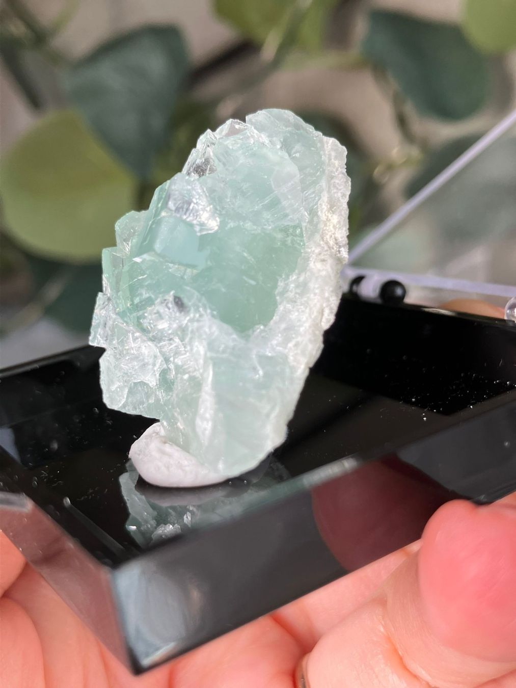 Pietre preziose: Grüner Fluorit – Usato da Neuheim venduto da m.hald 2