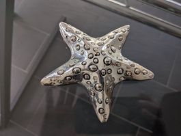 Déco étoile de mer en métale, parfait état !