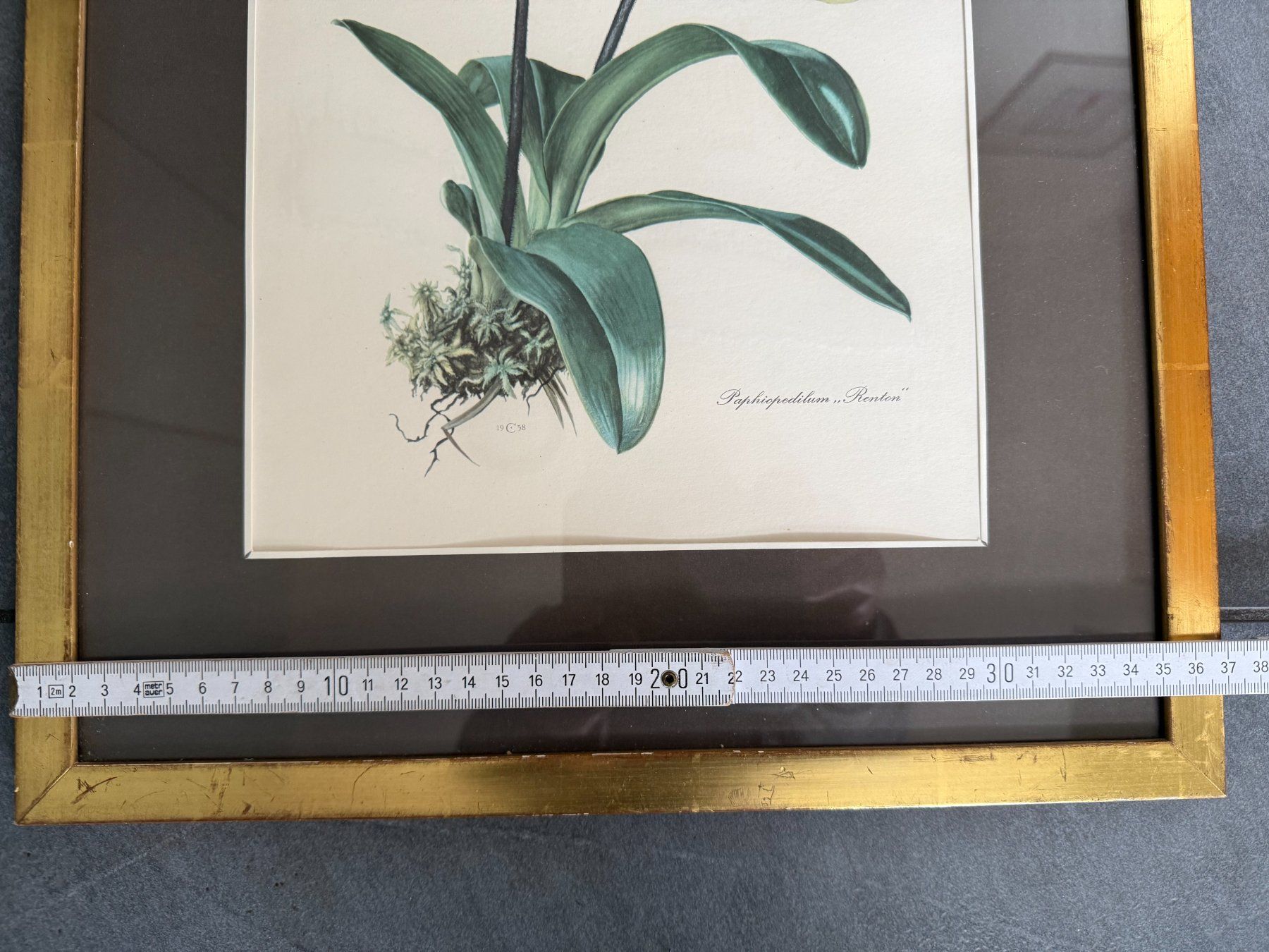 Foto & Immagini: Blumenbild  Kunstdruck  in Holzrahmen hinter Glas – Usato da Subingen venduto da ArtBead 4