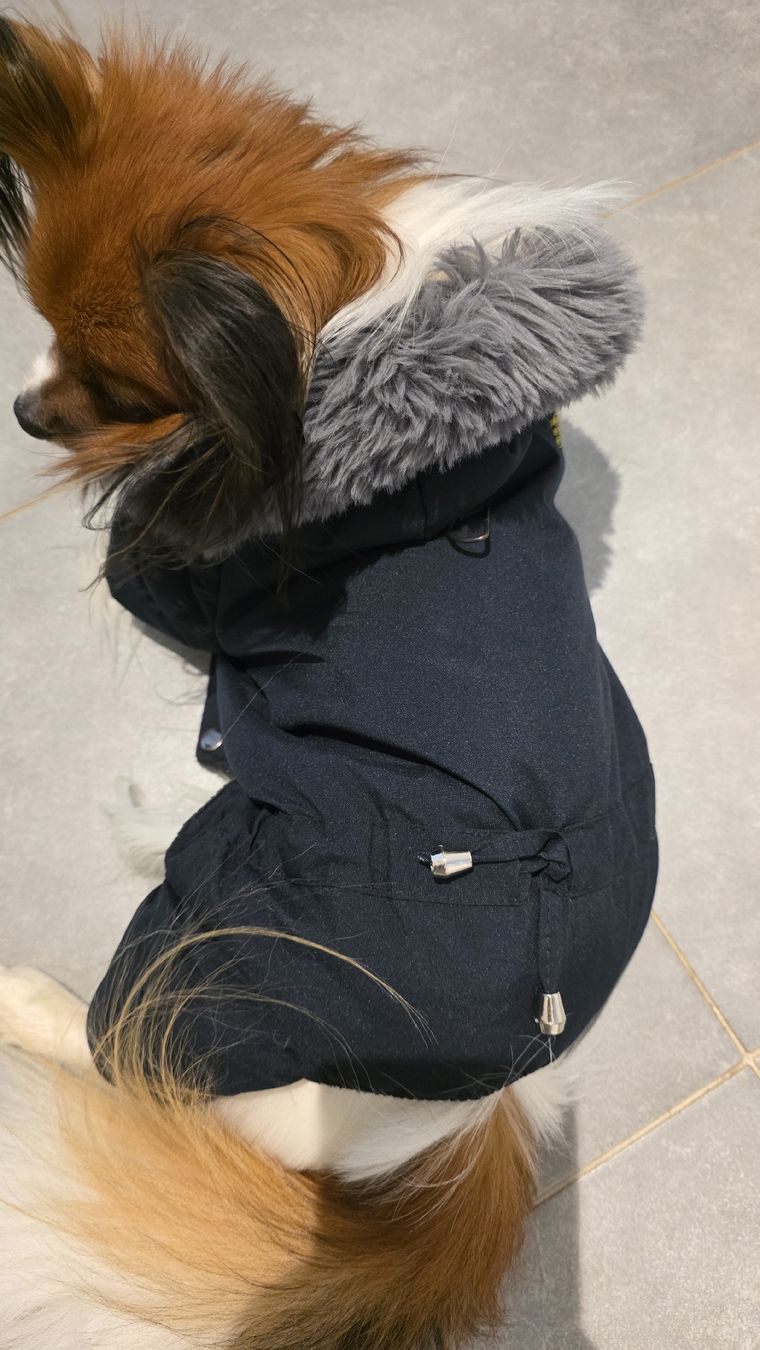 Abbigliamento: vêtements pour chien  – Usato da Fontainemelon venduto da ale_b865 1