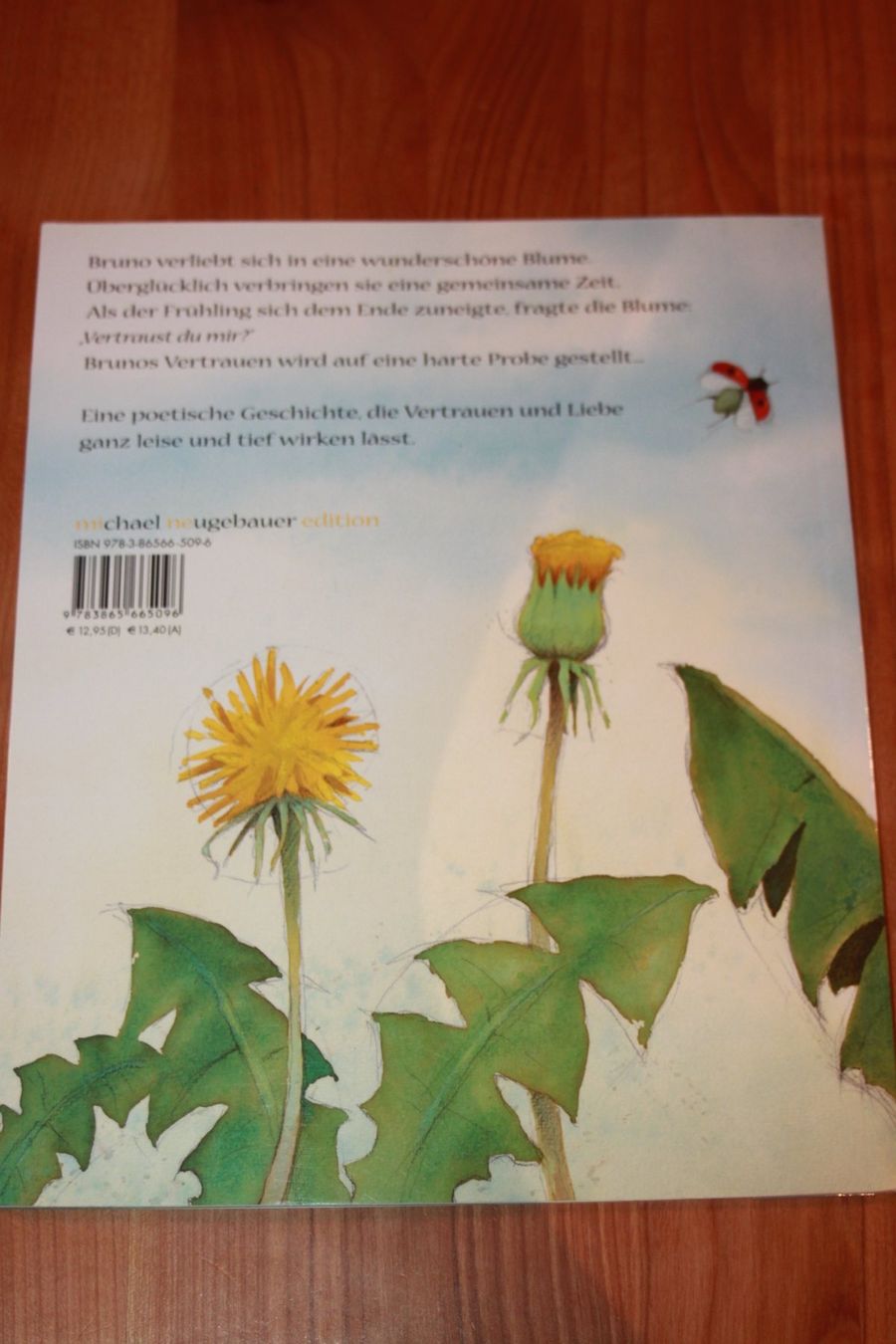 Libri: Bilderbuch: das verspreche ich Dir! mit CD Rom in 4 Sprachen – Nuovo (secondo la descrizione) da Wenslingen venduto da Strick4Alpaca 1