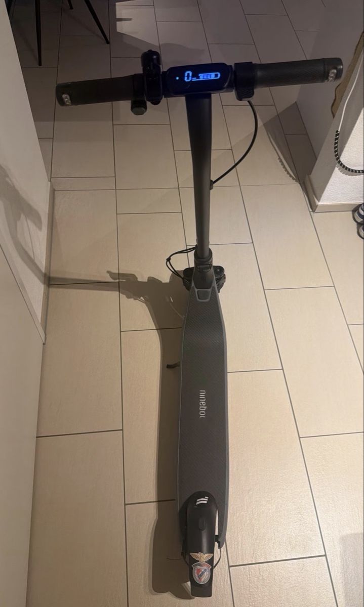 Segway Kickboard: Segway ninebot e2 dII – Gebraucht aus Weiach von tiagomoura123 1