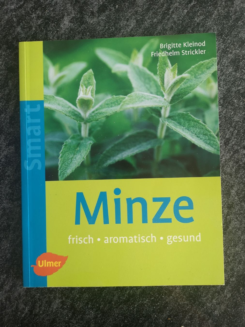 Libri: Minze Buch – Nuovo (secondo la descrizione) da Biel/Bienne venduto da Rosen21