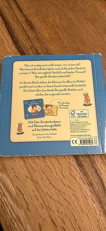 Libri: Buch der beste grosse Bruder – Usato da Glattpark(Opfikon) venduto da humanpro 2