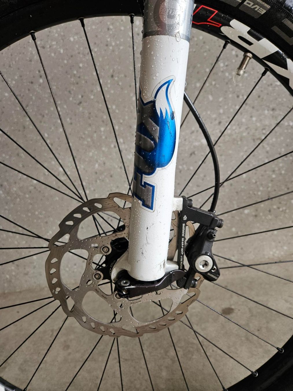 Scott Velos: Scott MTB SPARK – Gebraucht aus Sent von Tschendoria 4
