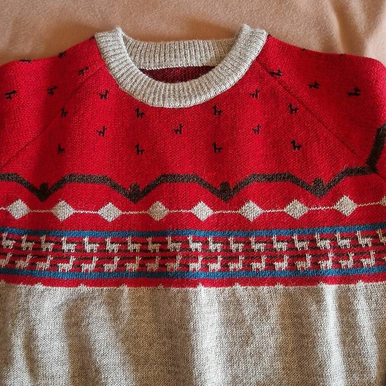 Maglioni & Felpe: Premium Alpaca Pullover aus Peru Gr.M – Nuovo (secondo la descrizione) da Dättlikon venduto da g.manuele