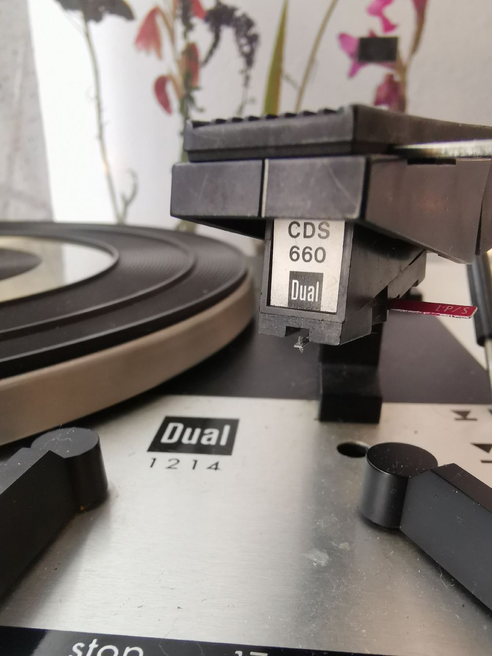Dual Giradischi: Ensemble wega studio 3211/ dual 1214 – Usato da La neuveville venduto da Madmax1979 4
