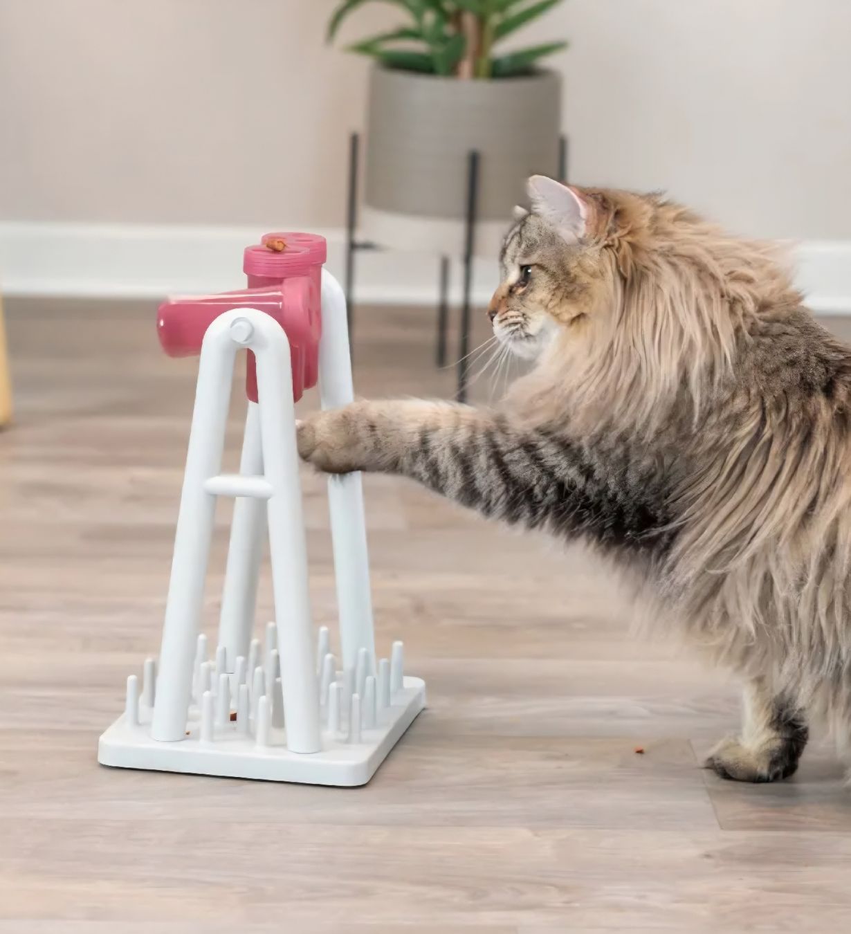 Trixie Spielzeuge: Katzenspielzeug Cat Activity Turn around – Neu (gemäss Beschreibung) aus Sennhof (Winterthur) von Hirnschmadder-1 1