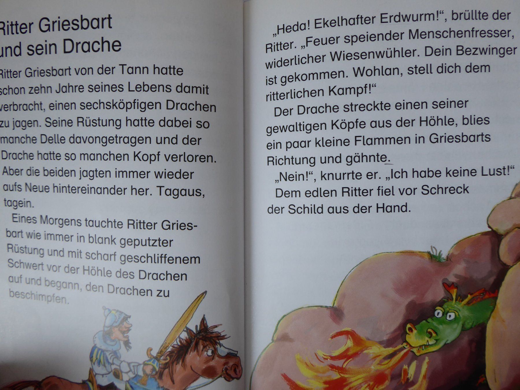 Libri: Lesewöwe, Rittergeschichten, 4. Stufe – Usato da Turbenthal venduto da Panau 3
