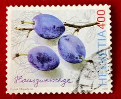  Nr.1213  Hauszwetschge GESTEMPELT    Siehe Original Fotos
