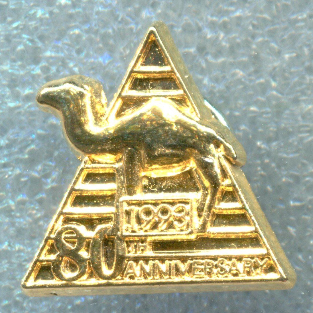 Camel Placchette & Badge: CAMEL 1993 – Usato da Winterthur venduto da Sammleroase