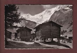 Bei SAAS-FEE