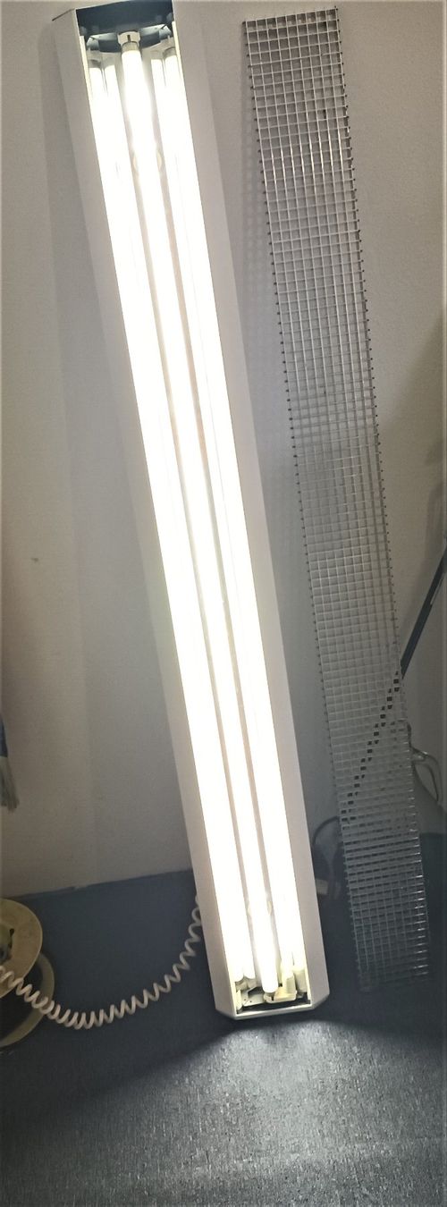Lampade: Fluora Deckenleuchte mit Stecker, Neonlampe,  ca. 160 cm – Usato da Vaduz venduto da Bergtiger 4