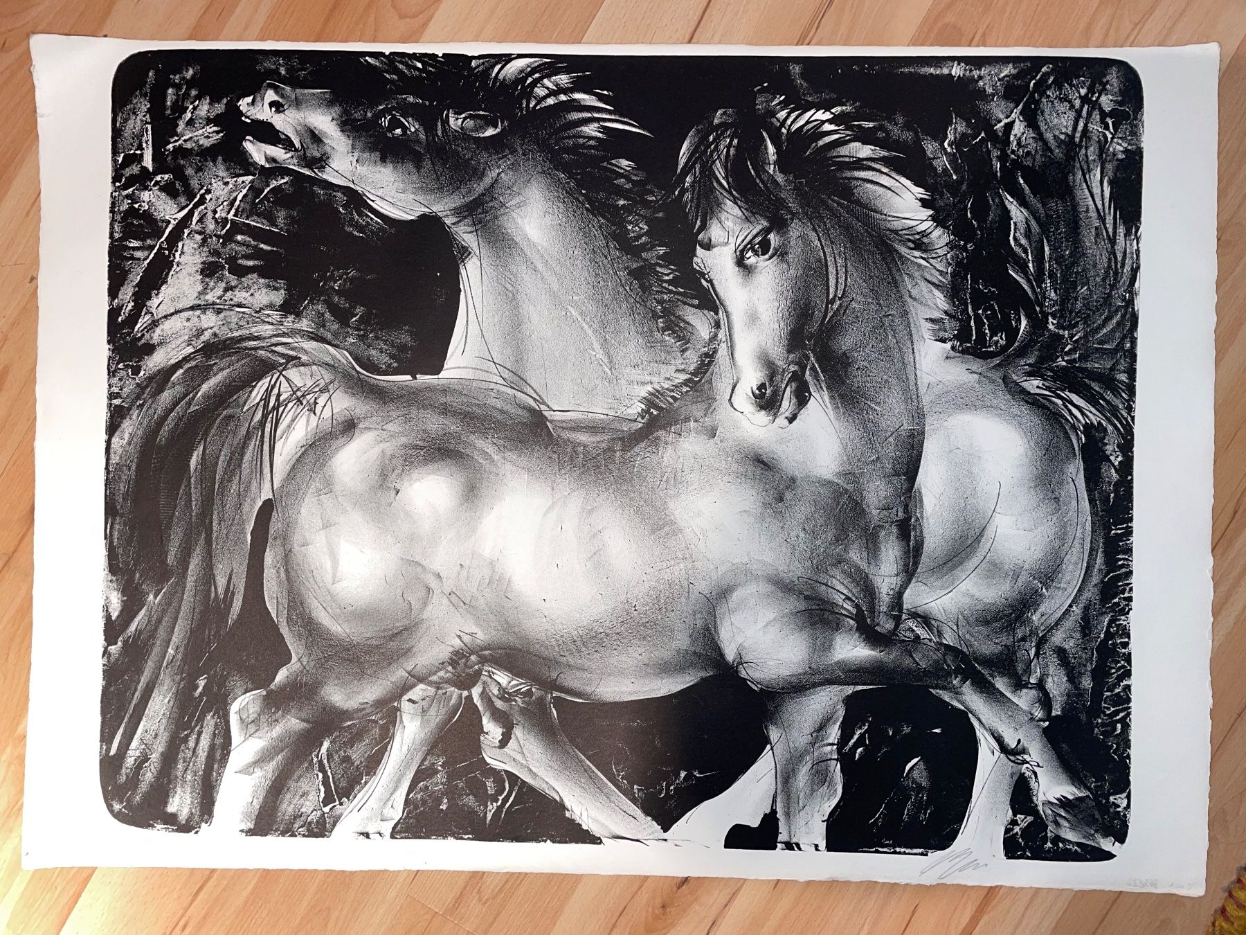 Arts picturaux & lithographies: Hans Erni Lithographie – D'occasion à Cham par Chramschopf