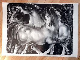 Hans Erni Lithographie