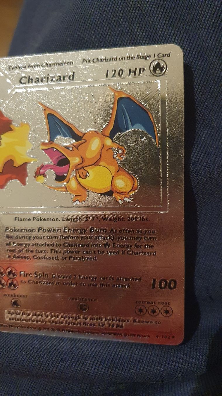 Pokémon Cartes à collectionner: Pokemon Charizard Silber – Neuf (Voir description) à Dielsdorf par Ford97 1