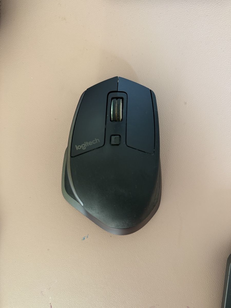 Logitech Mouse: Logitech - Souris MX Master – Usato da Belmont-Lausanne venduto da Michelle_Srdr_ 1