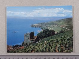 Vignoble de Lavaux, Tour de Marsens, Cully