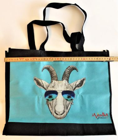 Lavizzara fondazione Geissbock mit Sonnenbrille Tragetasche