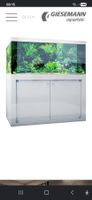 Aquarium Giesemann 160cm récifal