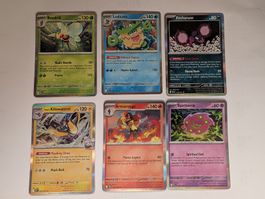 6-teiliges Set mit Holo & Reverse Holo Pokemonkarten 