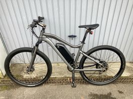 E-Mountainbike Totem / Top Zustand