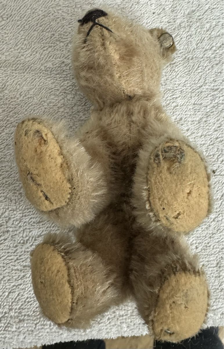 Steiff Giocattoli: Steiff Teddy – Usato da Binningen venduto da kal_5nsj 4
